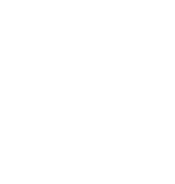 Fidelidade
